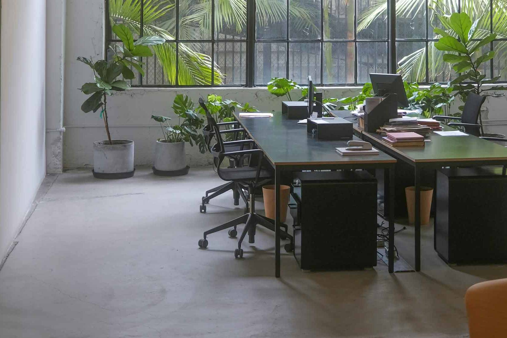 Büro mit Doppelarbeitsplätzen und Pflanzen an der Glaswand